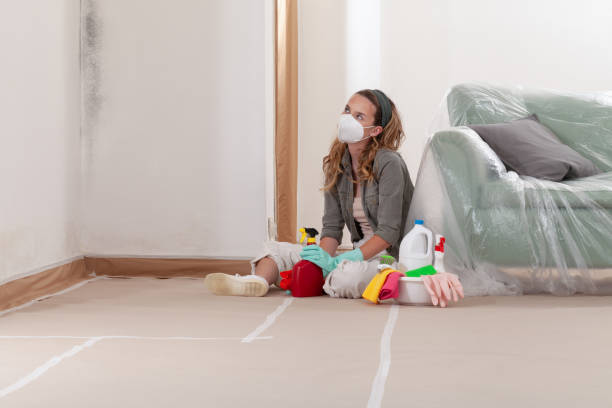 Reliable Mold Cleanup contractor in Marshall, VA by Cheap Mold Removal