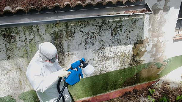 Trusted Mold Testing service in Marshall, VA - Cheap Mold Removal